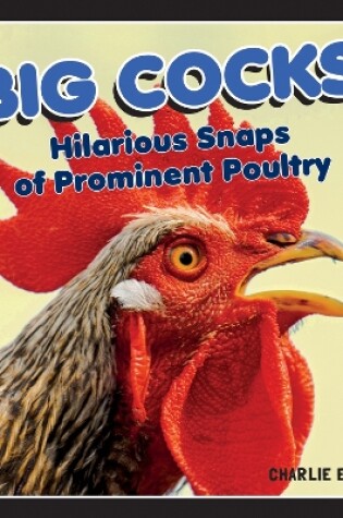 Cover of Big Cocks
