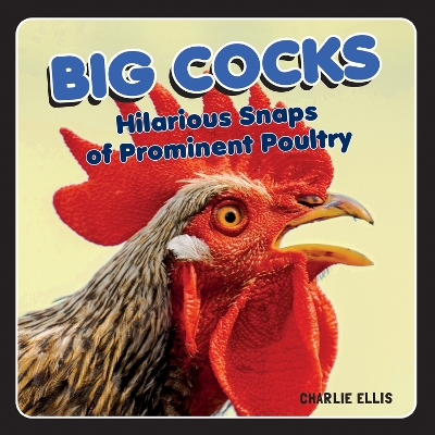 Book cover for Big Cocks