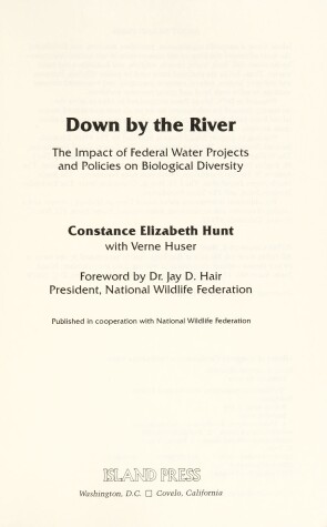 Book cover for Down by the River