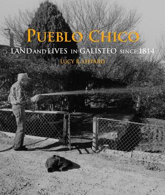 Book cover for Pueblo Chico