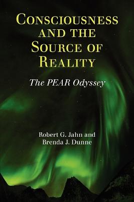 Cover of Consciousness and the Source of Reality