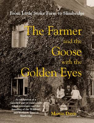 Book cover for The Farmer and the Goose with the Golden Eyes