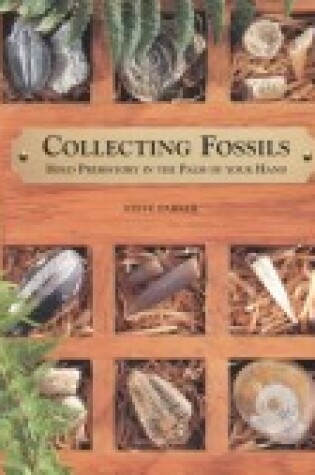 Cover of The Fossil Collection Kit