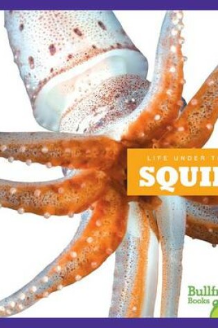 Cover of Squids