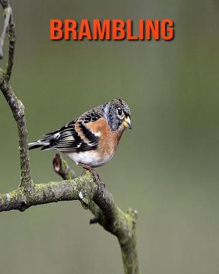 Book cover for Brambling