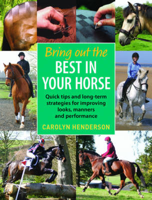 Book cover for Bring Out the Best in Your Horse