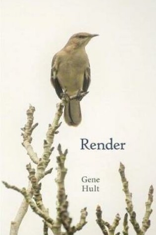 Cover of Render