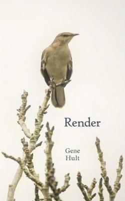 Book cover for Render