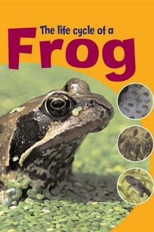 Cover of The Life Cycle of A Frog