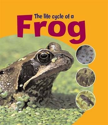 Cover of The Life Cycle of A Frog