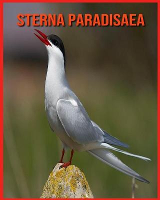 Book cover for Sterna Paradisaea