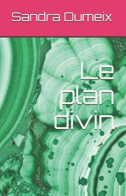 Book cover for Le plan divin