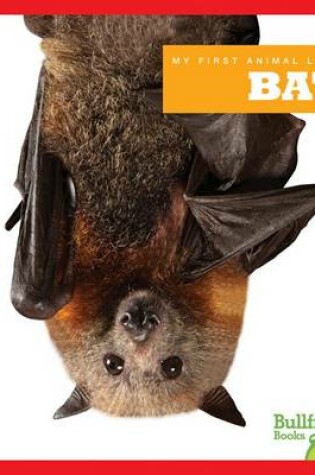 Cover of Bats