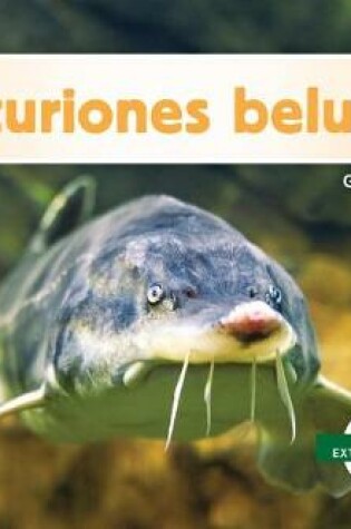 Cover of Esturiones Beluga (Beluga Sturgeons)