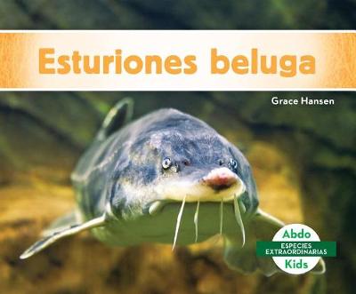 Cover of Esturiones Beluga (Beluga Sturgeons)