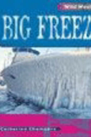 Cover of Wild Weather: Big Freeze Paperback