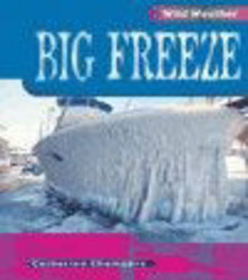 Cover of Wild Weather: Big Freeze Paperback