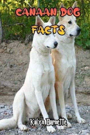 Cover of Canaan Dog Facts