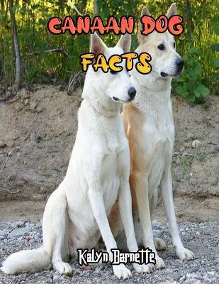 Book cover for Canaan Dog Facts