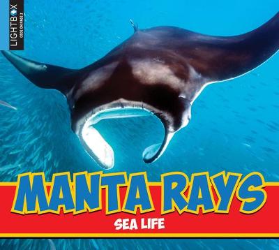 Cover of Manta Rays