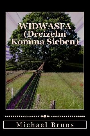 Cover of WIDWASFA (Dreizehn Komma Sieben)