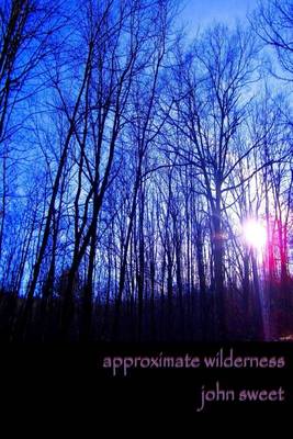 Book cover for Approximate Wilderness