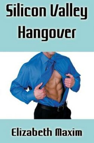 Cover of Silicon Valley Hangover