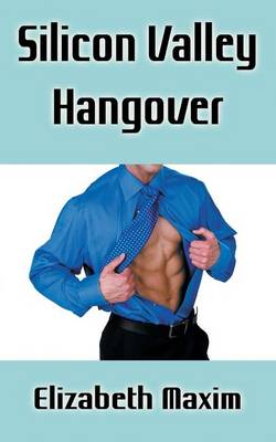 Book cover for Silicon Valley Hangover
