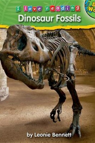 Cover of Dinosaur Fossils