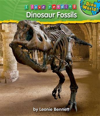 Book cover for Dinosaur Fossils