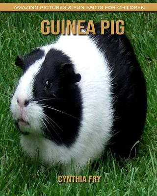 Book cover for Guinea pig