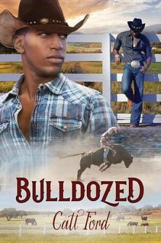 Cover of Bulldozed