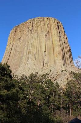 Book cover for Devils Tower, Wyoming Journal