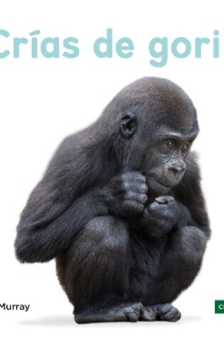 Cover of Crías de gorilas (Baby Gorillas)
