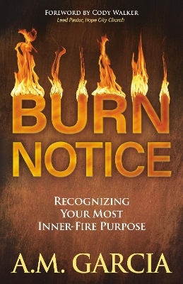 Cover of Burn Notice