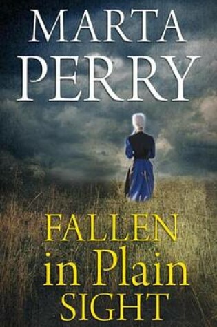 Cover of Fallen in Plain Sight