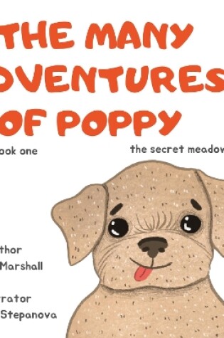 Cover of The Many Adventures Of Poppy - The Secret Meadow