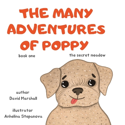 Book cover for The Many Adventures Of Poppy - The Secret Meadow