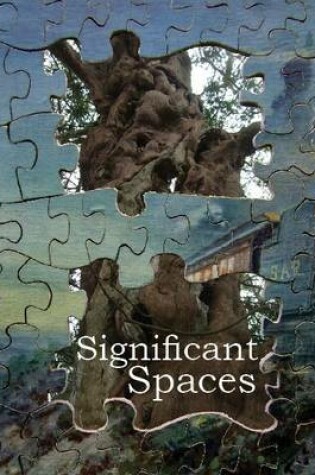 Cover of Significant Spaces