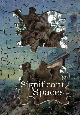 Book cover for Significant Spaces