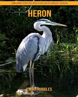 Book cover for Heron