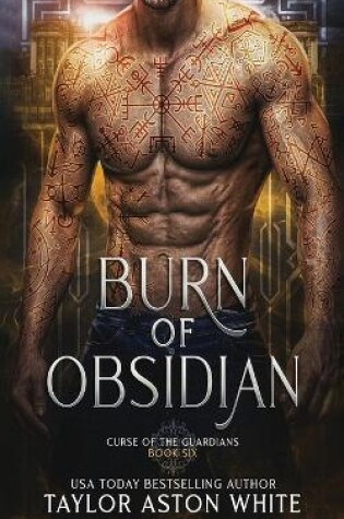 Cover of Burn of Obsidian