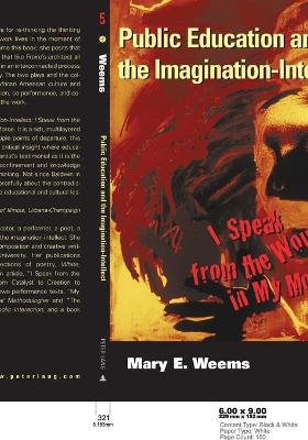 Book cover for Public Education and the Imagination-Intellect