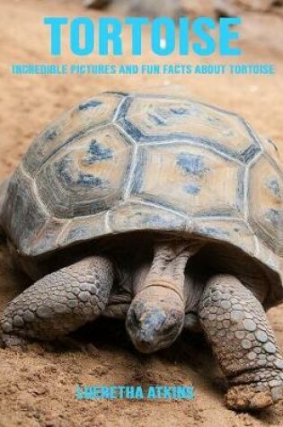 Cover of Tortoise