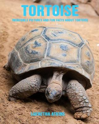 Book cover for Tortoise