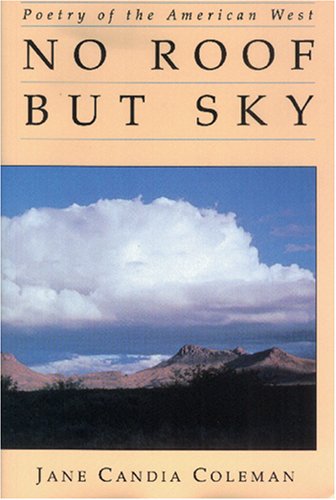 Book cover for No Roof But Sky