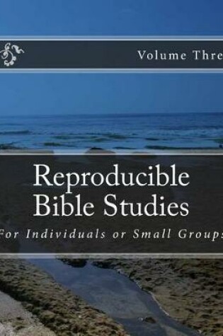 Cover of Reproducible Bible Studies