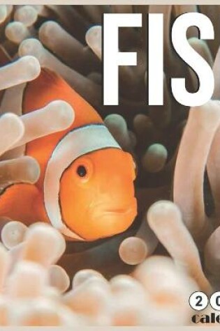 Cover of fish 2021 Calendar