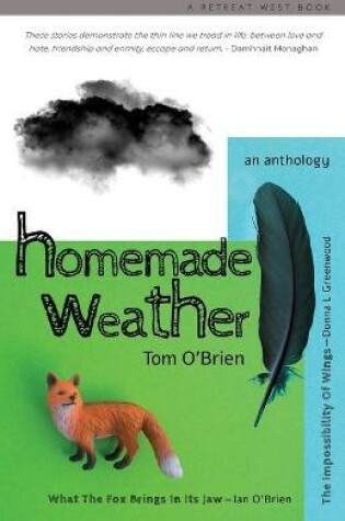 Cover of Homemade Weather