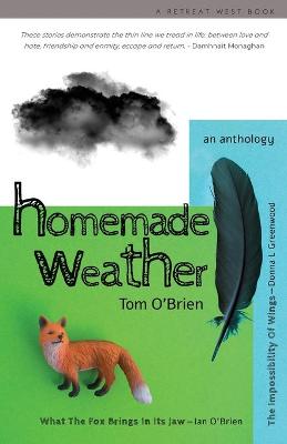 Book cover for Homemade Weather